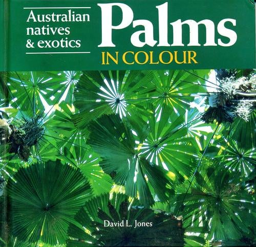 Palms in Colour