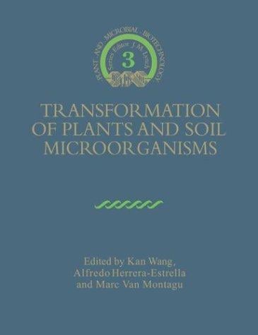 Transformation of plants and soil microorganisms