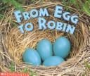 From egg to robin