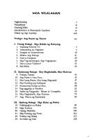 Foot soldier in an occupation force