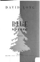 Blue spruce