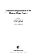 Functional organisation of the human visual cortex