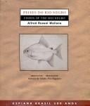Peixes do Rio Negro