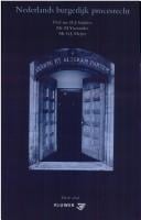 Nederlands burgerlijk procesrecht