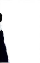 Peace, security & the United Nations