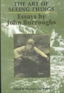 The art of seeing things