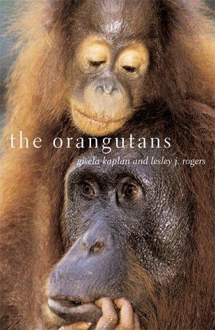 The orangutans