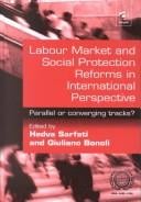 Labour market and social protection reforms in international perspective