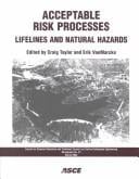 Acceptable risk processes