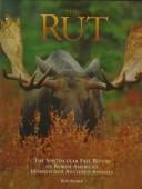 The Rut