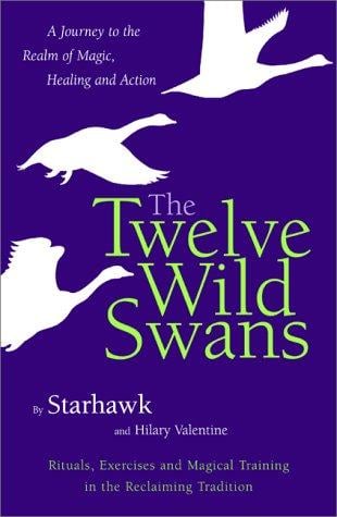 The twelve wild swans