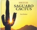 Saguaro cactus