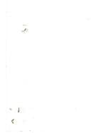 Geophilosophie. Neitzsches philosophische Geographie