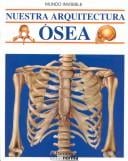 Nuestra arquitectura ósea