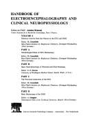 Morphological basis of EEG mechanisms