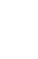 La santé de Louis XIV