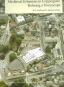 Medieval urbanism in Coppergate
