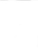 Les dernières colonnes de l'église