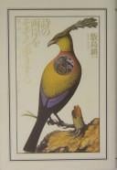 Shi no ryōgan o sozoro-arukisuru