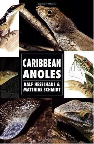 Caribbean Anoles (Herpetology Series)