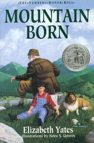 Mountain Born (Mountain Born #1)