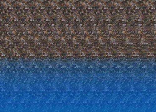 Texas Employer's Guide