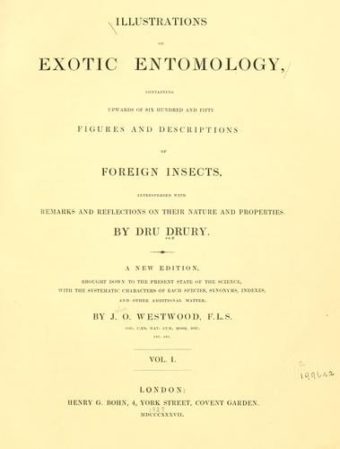 Illustrations of exotic entomology