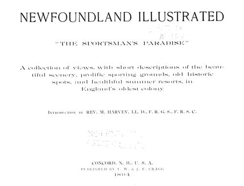 Newfoundland illustrated