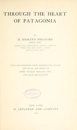 Through the heart of Patagonia