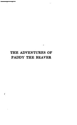 The adventures of Paddy Beaver