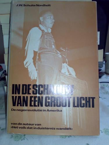 In de schaduw van een groot licht