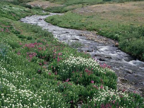 Madame de La Fayette's The Princess of Clèves
