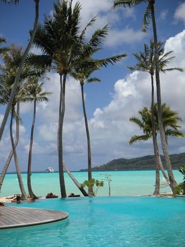 Biblia De Estudio Pentecostal