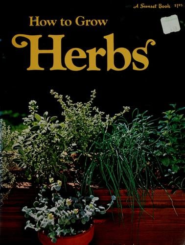 How to grow herbs