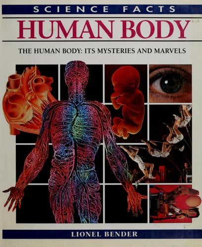 Human body