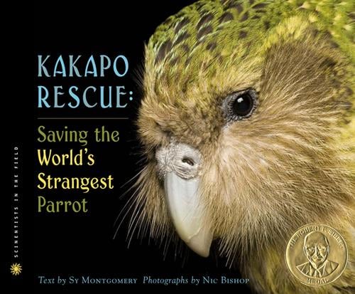 Kakapo rescue