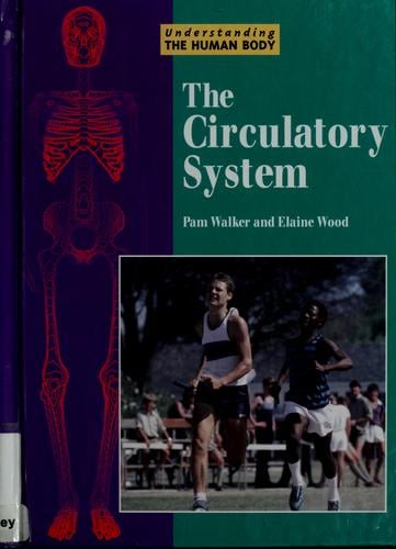 The circulatory system