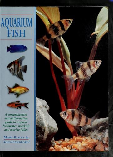 Aquarium fish