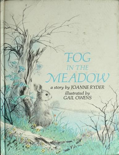 Fog in the meadow