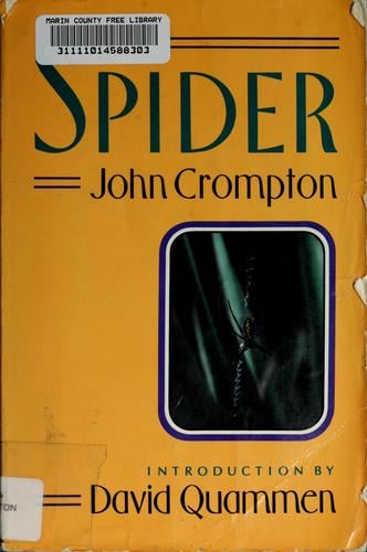 The spider