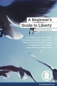 A Beginner's Guide to Liberty