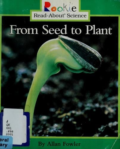 From seed to plant