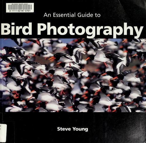 An essential guide to bird photography