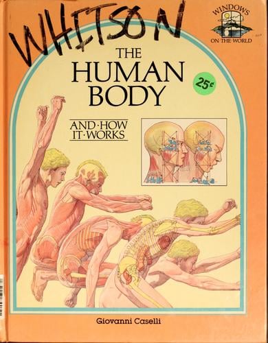 The human body