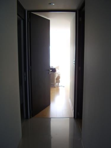 Arte contemporânea brasileira