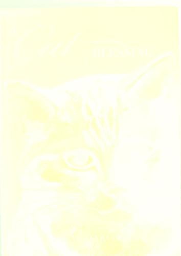 A cat blessing