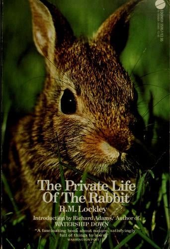 The private life of the rabbit