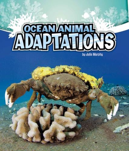 Ocean animal adaptations