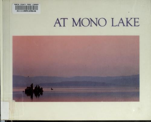 At Mono Lake