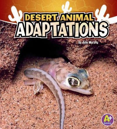 Desert animal adaptations